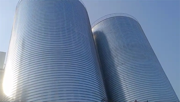 延安2座混凝土高架卷板仓